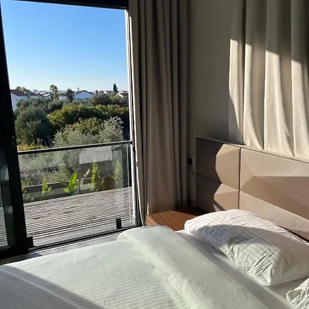 فيلة Modern Comfort